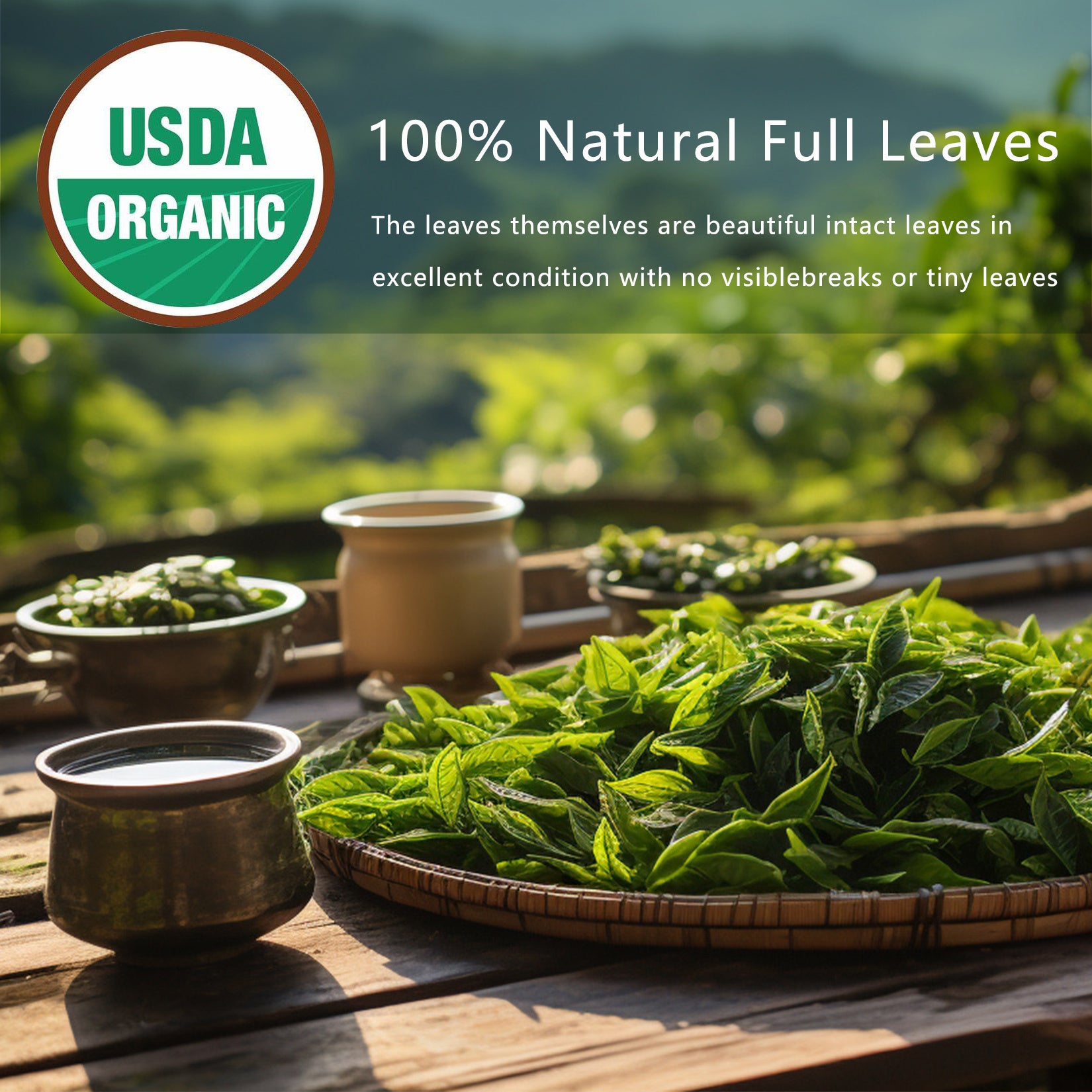 100% Oolong Leaf Tea Metabolism Boosting Detox Cleanse